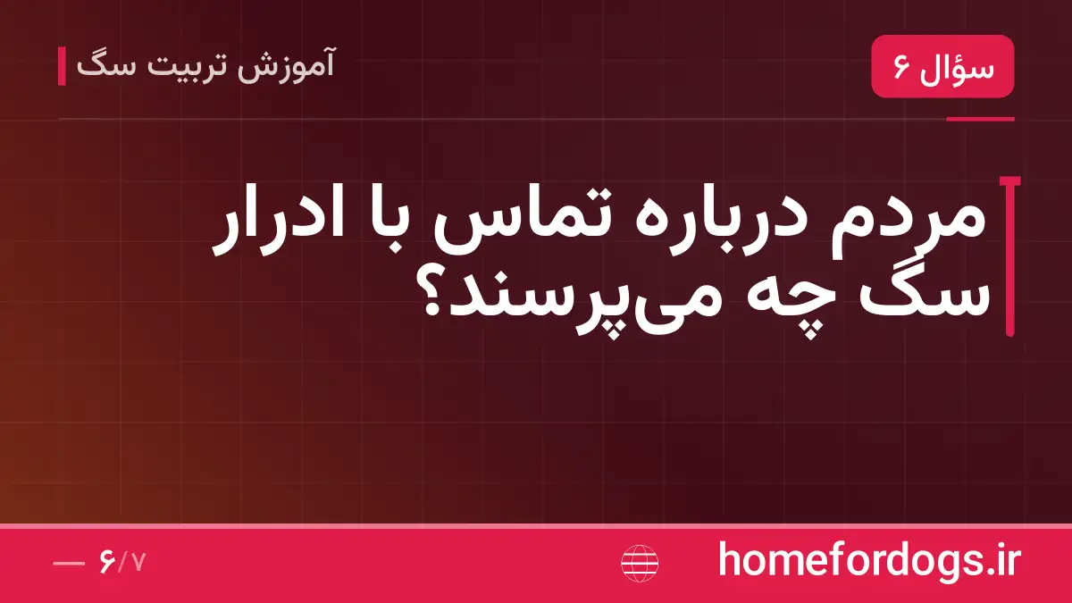 مردم درباره تماس با ادرار سگ چه می‌پرسند؟