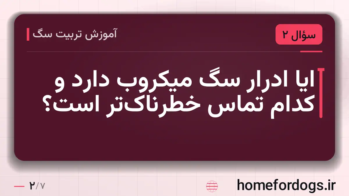 ایا ادرار سگ میکروب دارد و کدام تماس خطرناک‌تر است؟