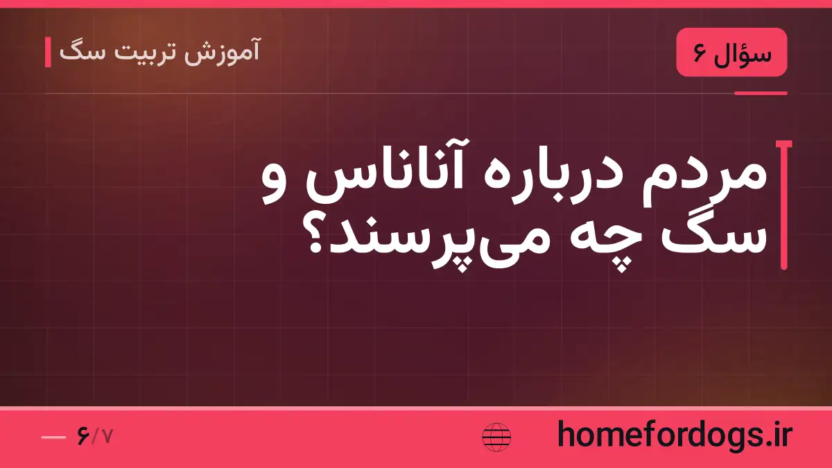 مردم درباره آناناس و سگ چه میپرسند؟