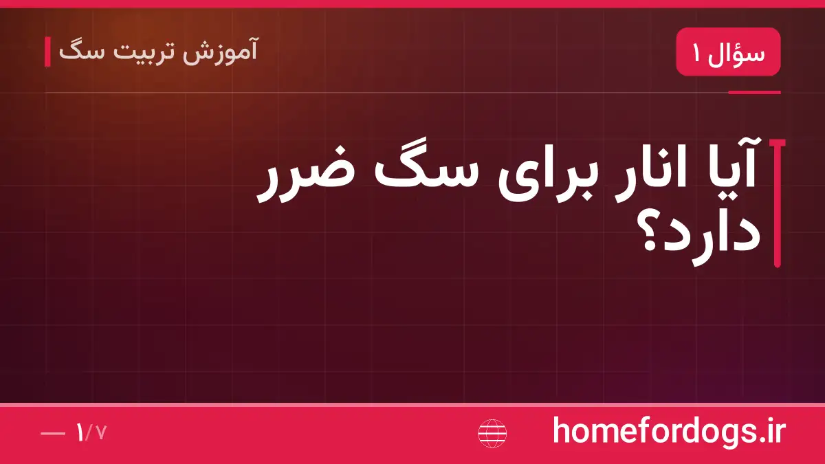 آیا انار برای سگ ضرر دارد؟