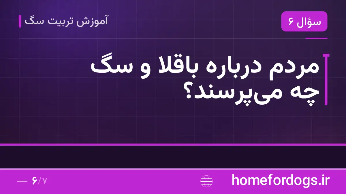 مردم درباره باقلا و سگ چه می‌پرسند؟