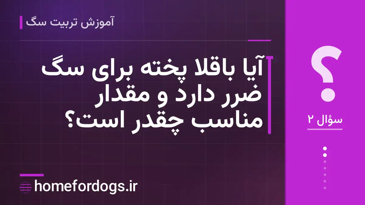 آیا باقلا پخته برای سگ ضرر دارد و مقدار مناسب چقدر است؟