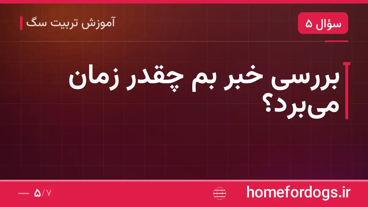 بررسی خبر بم چقدر زمان میبرد؟