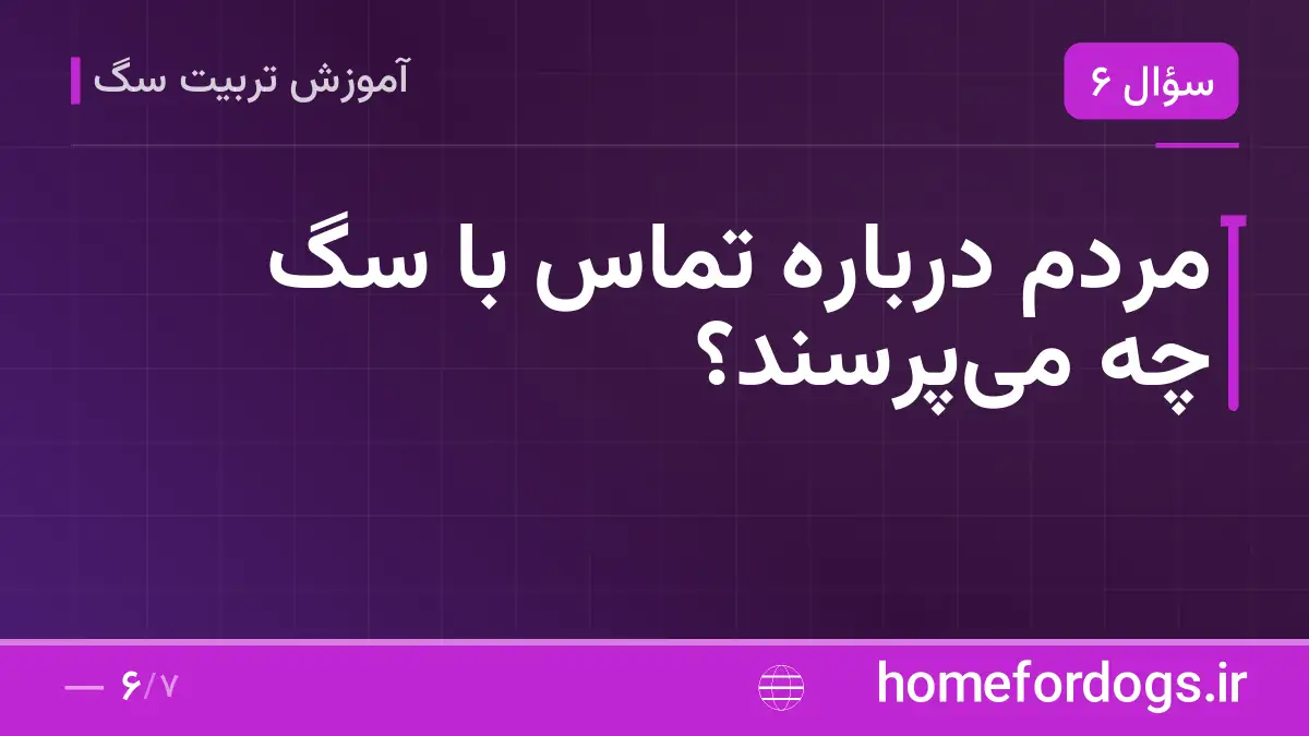 مردم درباره تماس با سگ چه می‌پرسند؟