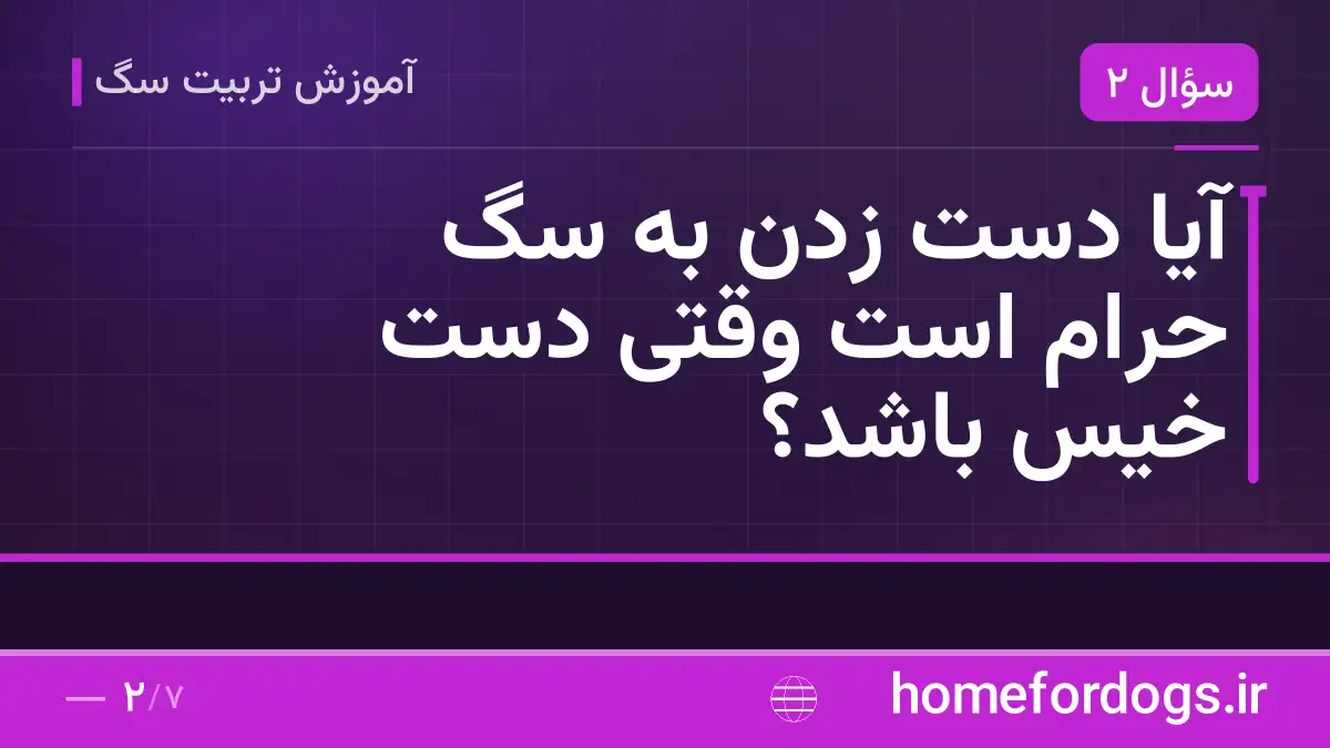 آیا دست زدن به سگ حرام است وقتی دست خیس باشد؟