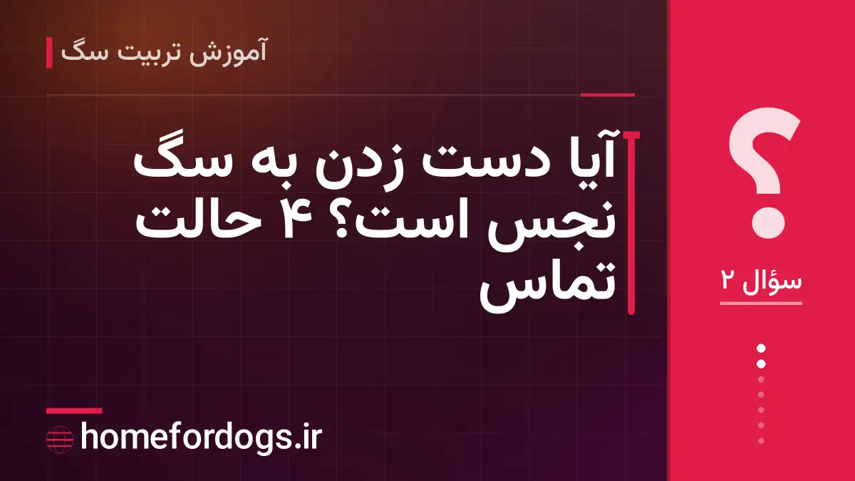 آیا دست زدن به سگ نجس است؟ ۴ حالت تماس