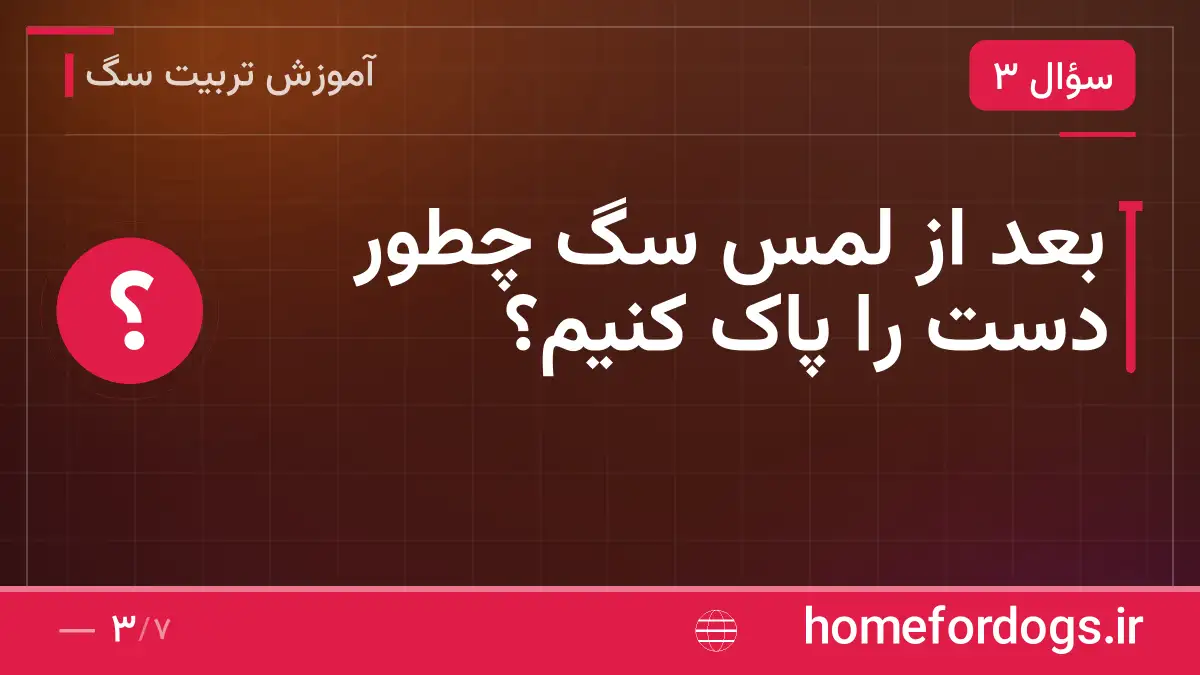 بعد از لمس سگ چطور دست را پاک کنیم؟