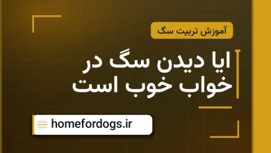 ایا دیدن سگ در خواب خوب است