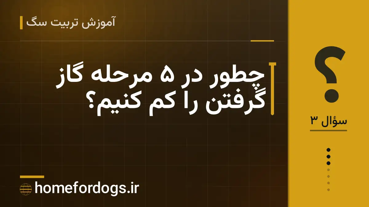 چطور در ۵ مرحله گاز گرفتن را کم کنیم؟