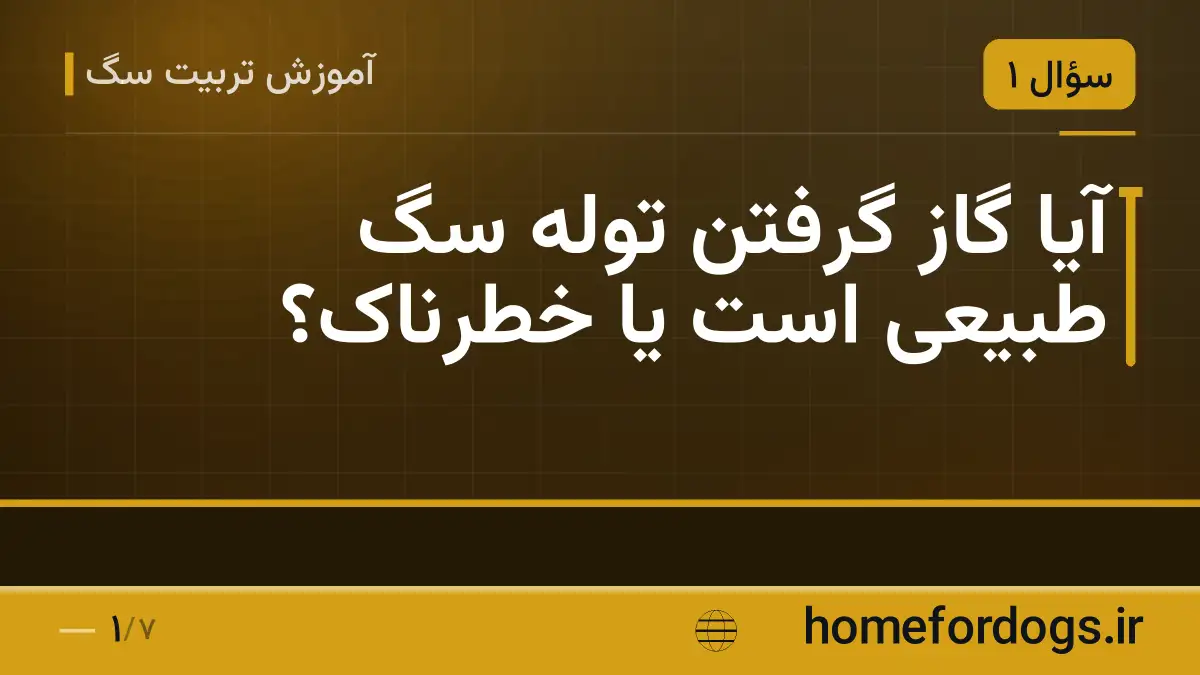 آیا گاز گرفتن توله سگ طبیعی است یا خطرناک؟