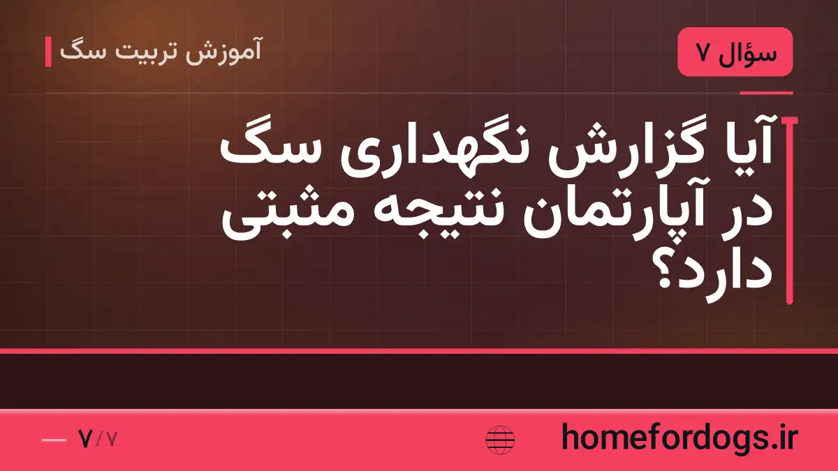 آیا گزارش نگهداری سگ در آپارتمان نتیجه مثبتی دارد؟