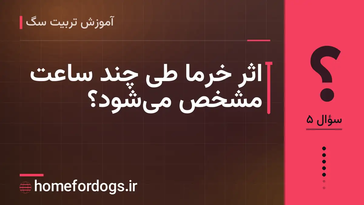 اثر خرما طی چند ساعت مشخص می‌شود؟