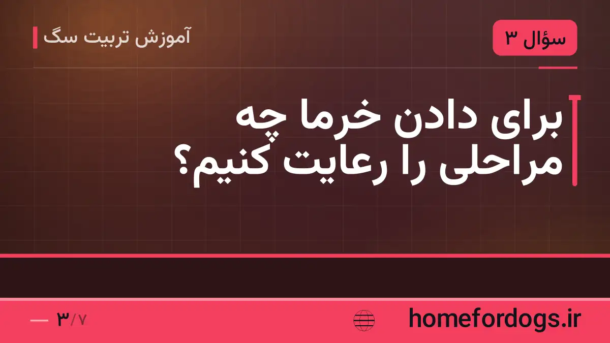 برای دادن خرما چه مراحلی را رعایت کنیم؟
