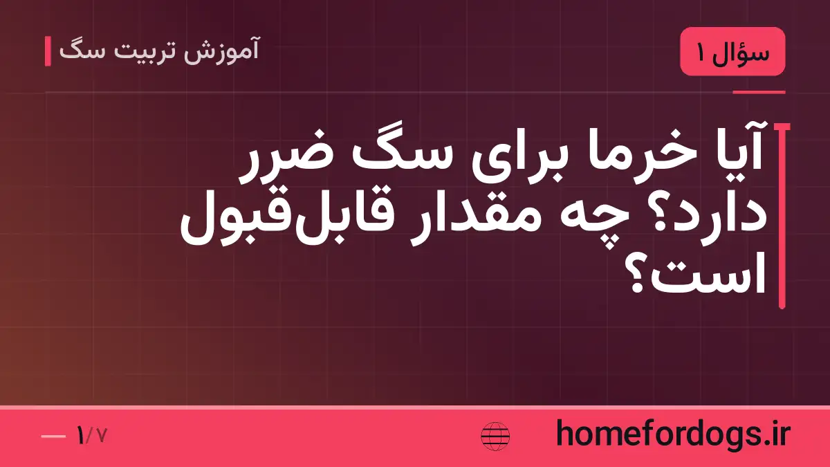 آیا خرما برای سگ ضرر دارد؟ چه مقدار قابل‌قبول است؟