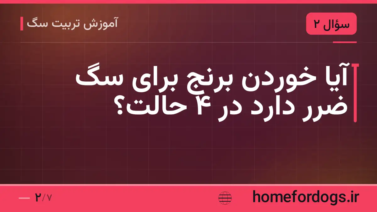 آیا خوردن برنج برای سگ ضرر دارد در ۴ حالت؟