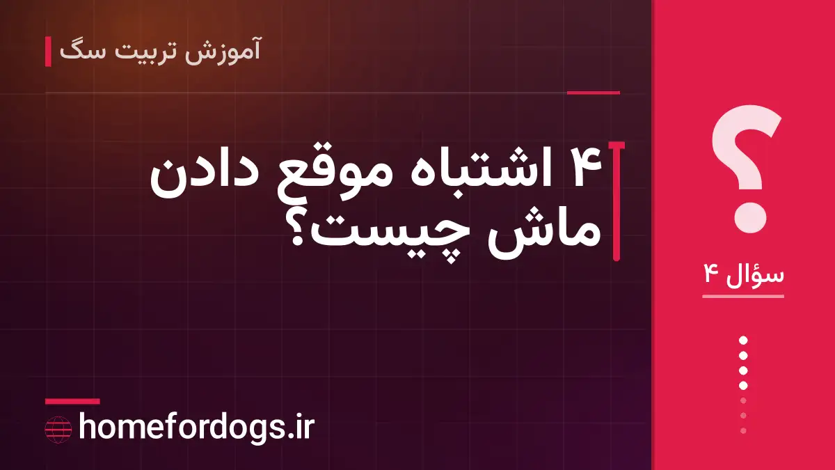 ۴ اشتباه موقع دادن ماش چیست؟