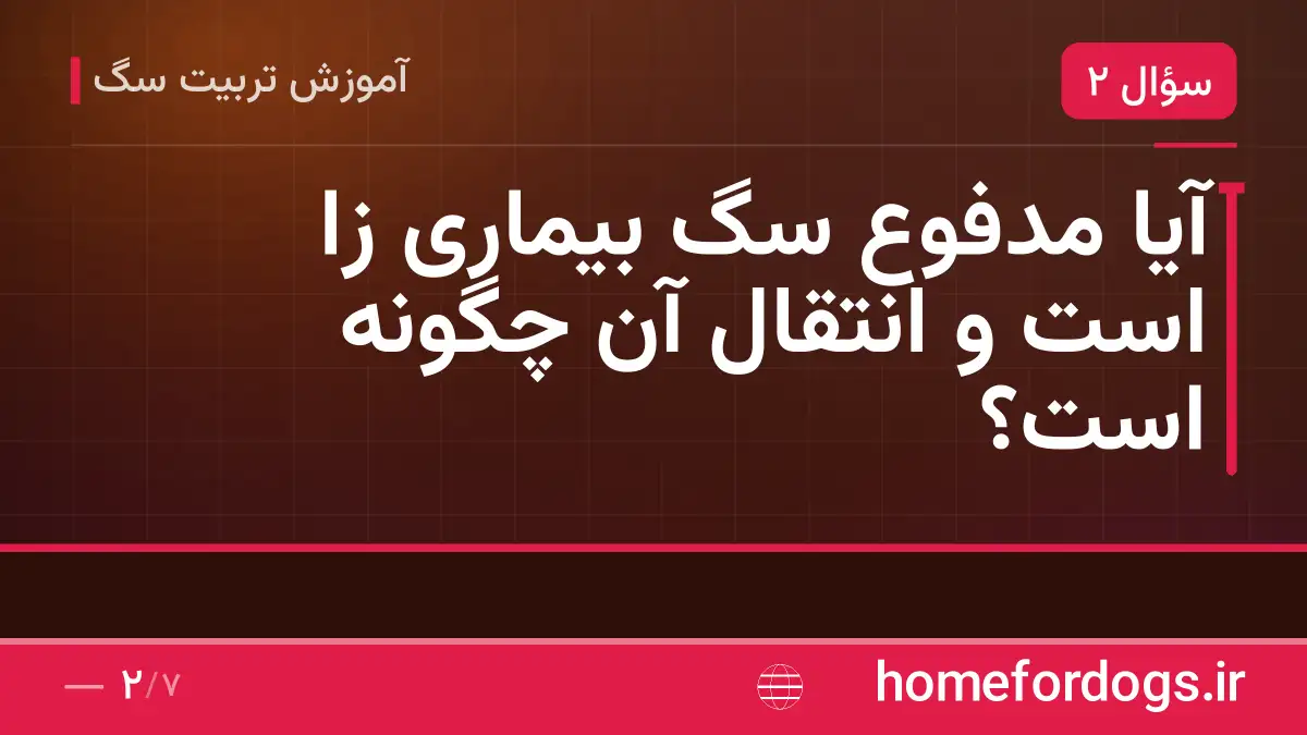 آیا مدفوع سگ بیماری زا است و انتقال آن چگونه است؟