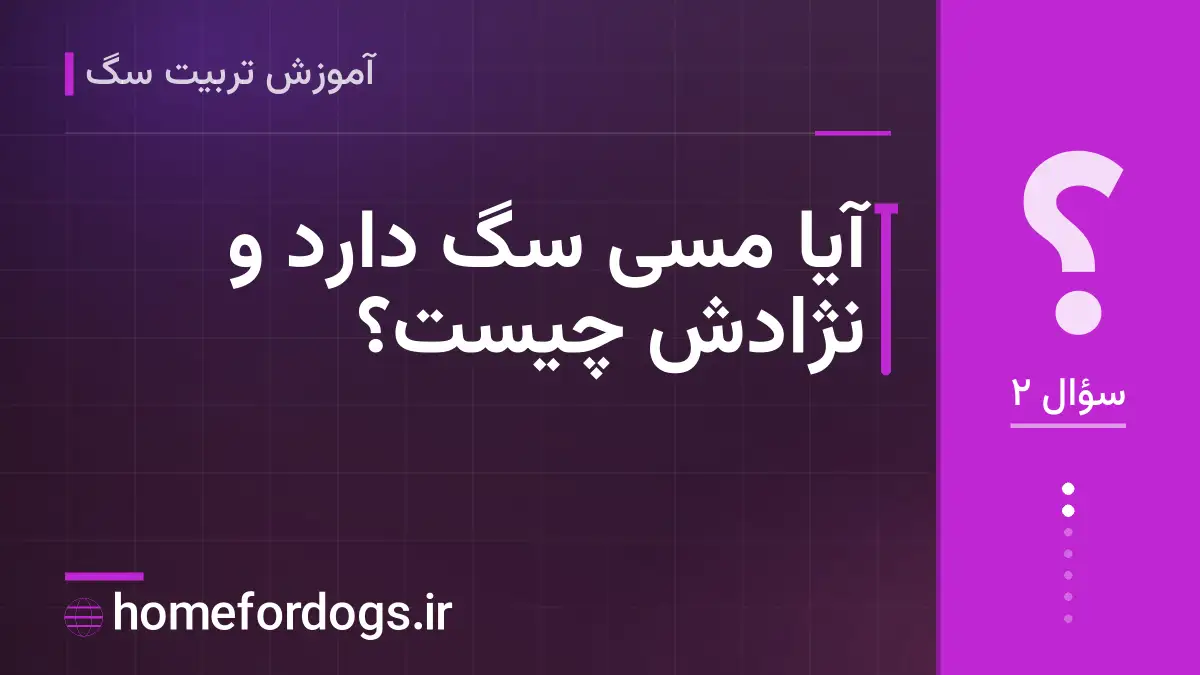 آیا مسی سگ دارد و نژادش چیست؟