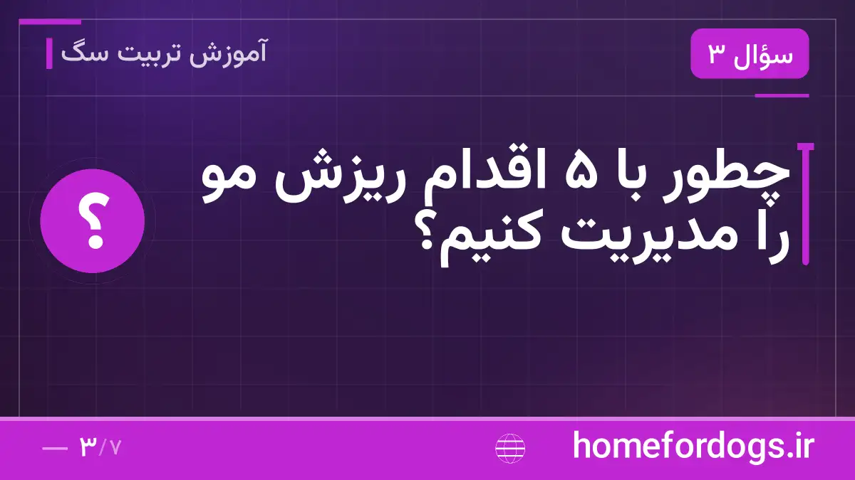 چطور با ۵ اقدام ریزش مو را مدیریت کنیم؟