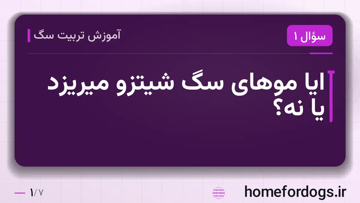 ایا موهای سگ شیتزو میریزد یا نه؟