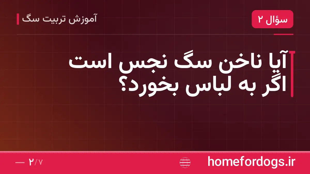 آیا ناخن سگ نجس است اگر به لباس بخورد؟