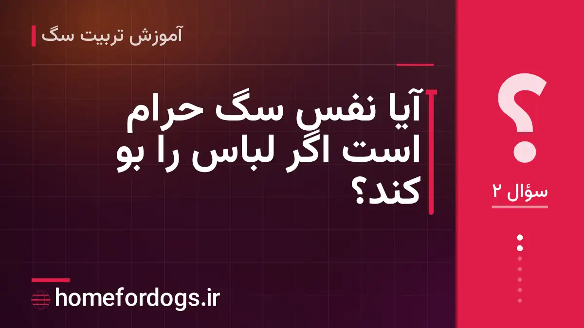 آیا نفس سگ حرام است اگر لباس را بو کند؟