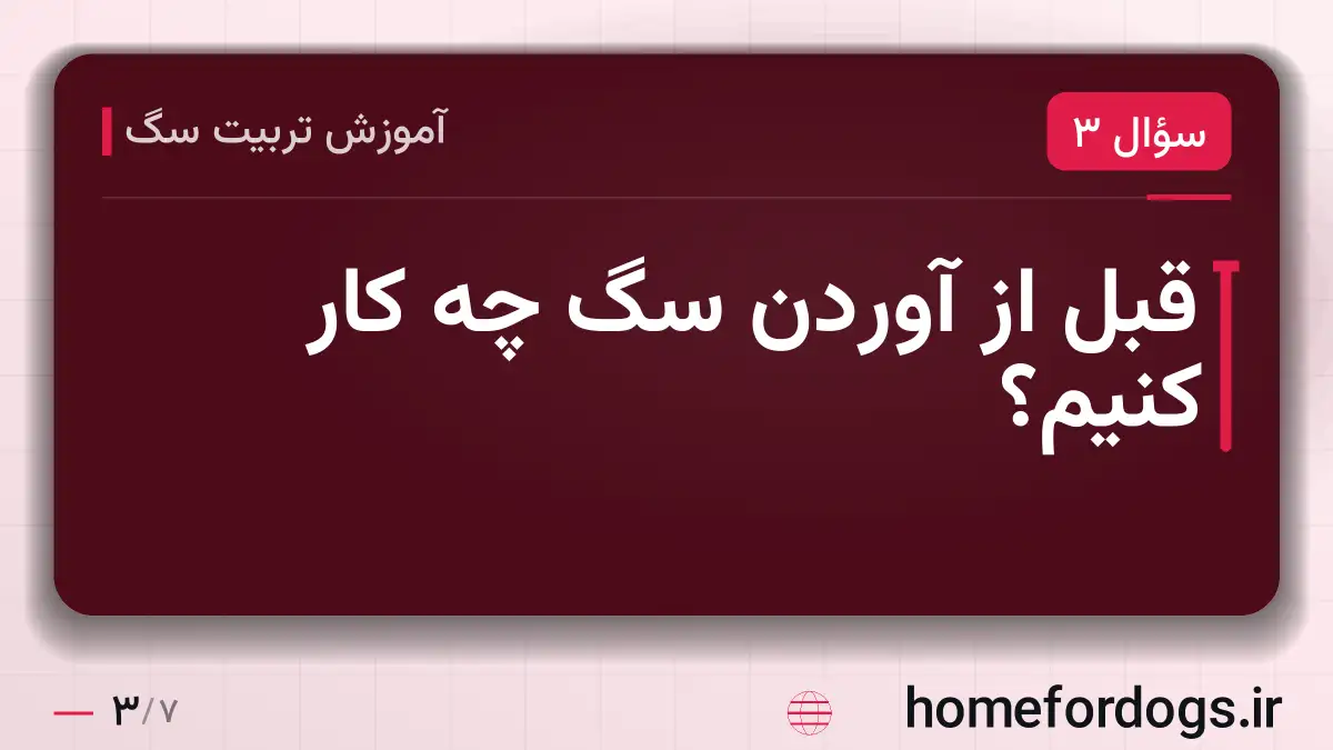 قبل از آوردن سگ چه کار کنیم؟