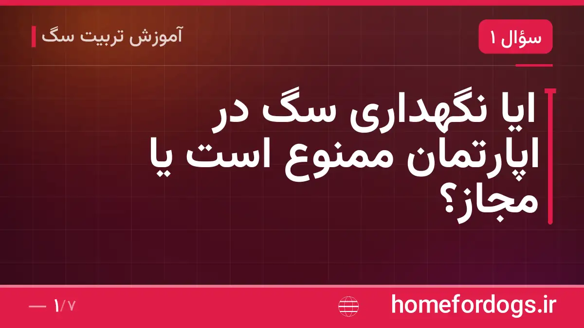 ایا نگهداری سگ در اپارتمان ممنوع است یا مجاز؟