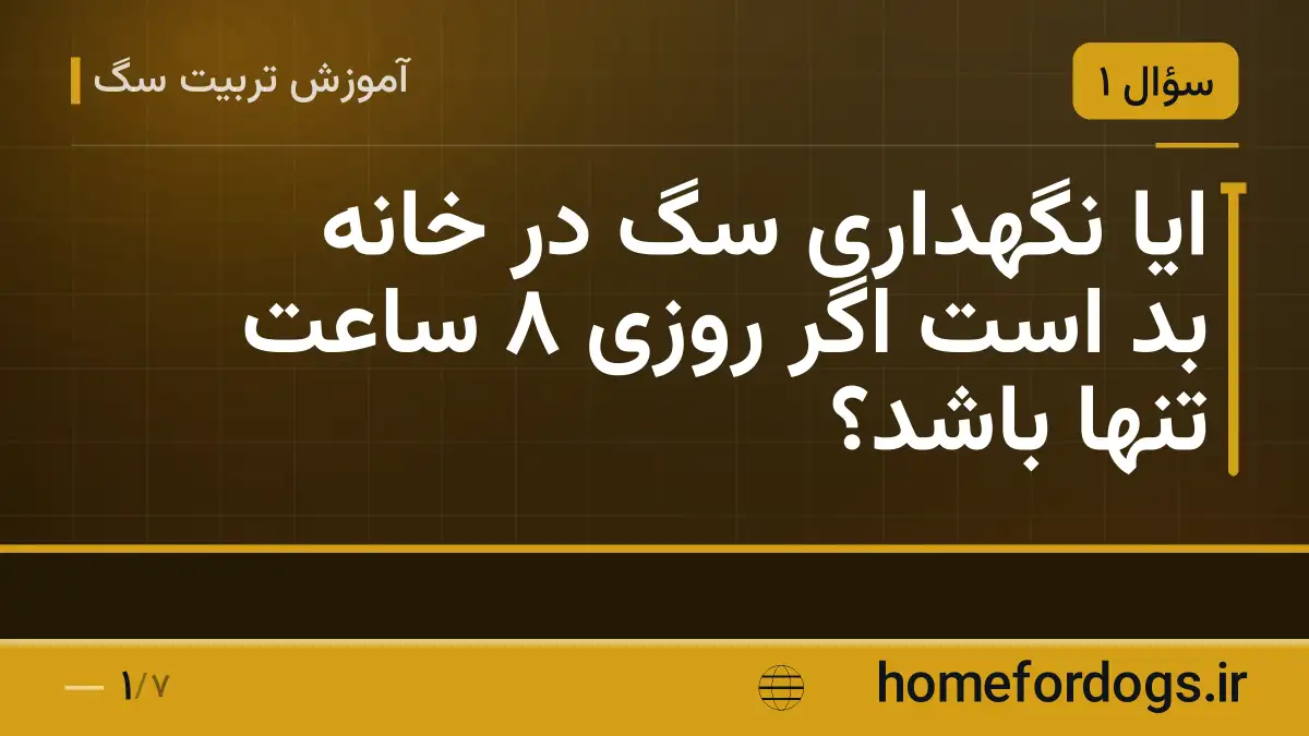ایا نگهداری سگ در خانه بد است اگر روزی ۸ ساعت تنها باشد؟