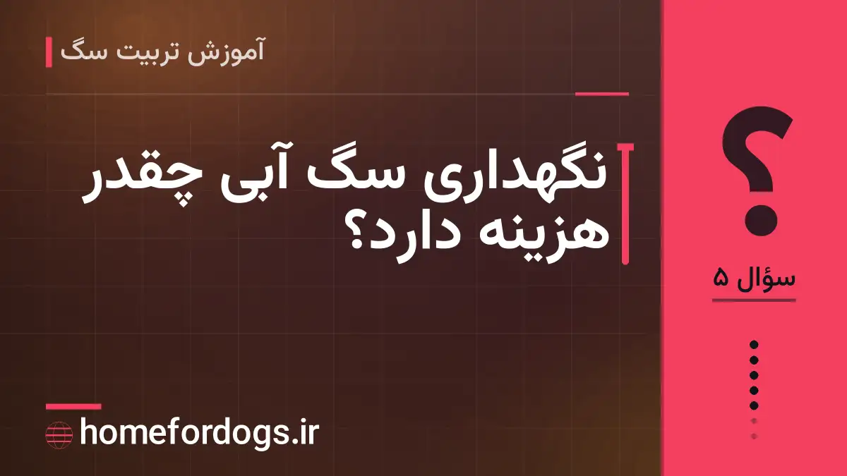 نگهداری سگ آبی چقدر هزینه دارد؟