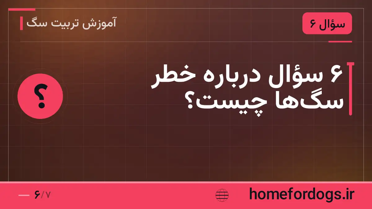 ۶ سؤال درباره خطر سگها چیست؟
