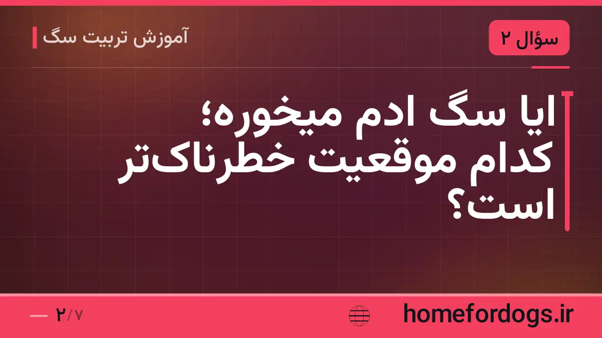 ایا سگ ادم میخوره؛ کدام موقعیت خطرناکتر است؟