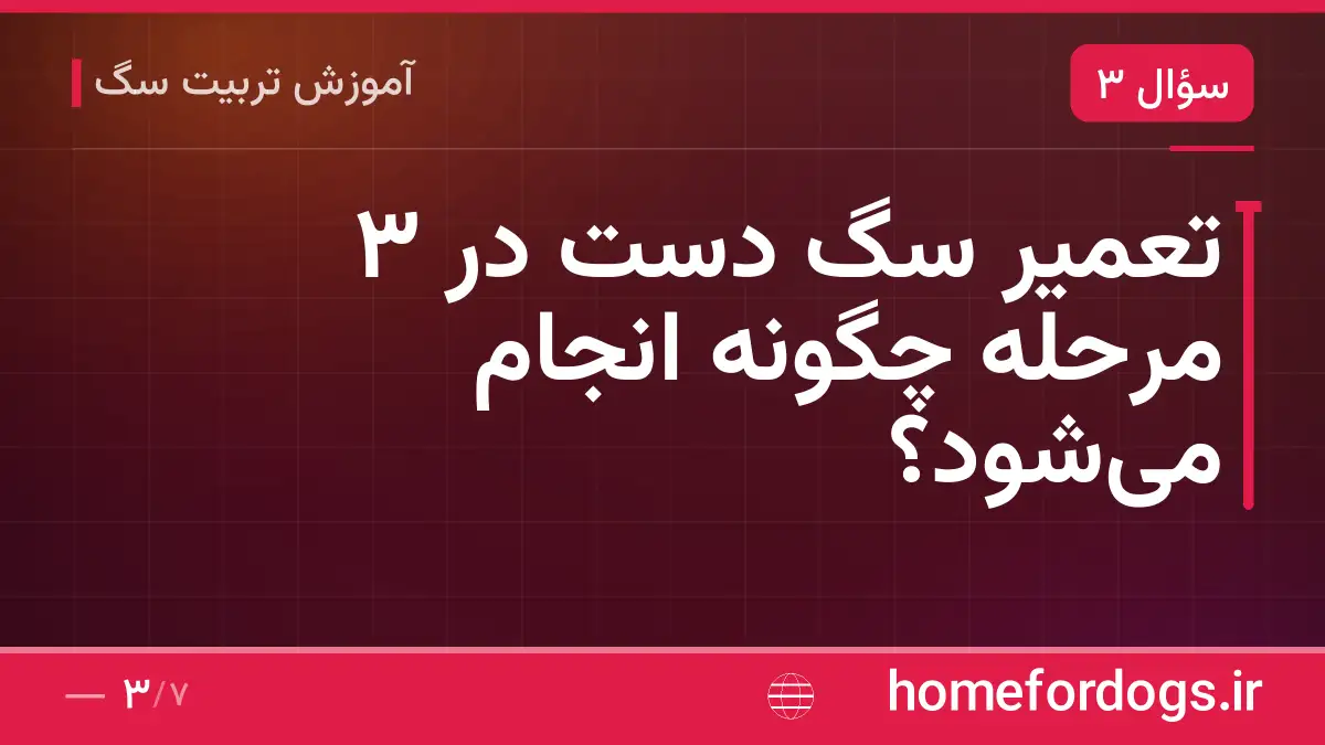 تعمیر سگ دست در ۳ مرحله چگونه انجام می‌شود؟