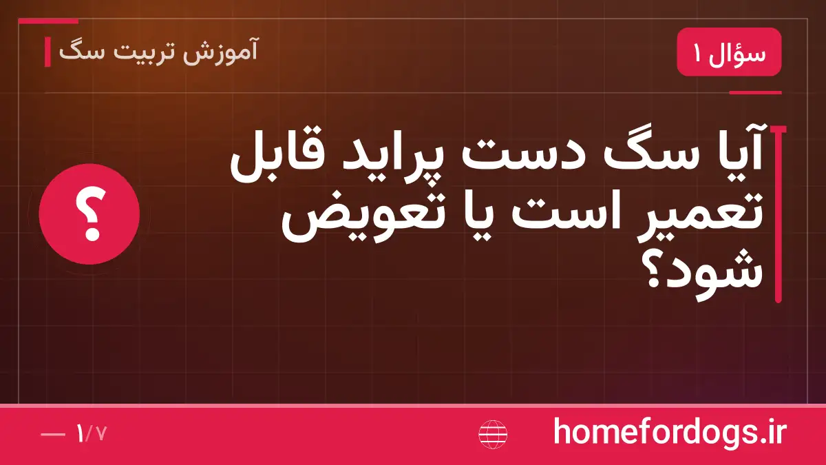 آیا سگ دست پراید قابل تعمیر است یا تعویض شود؟