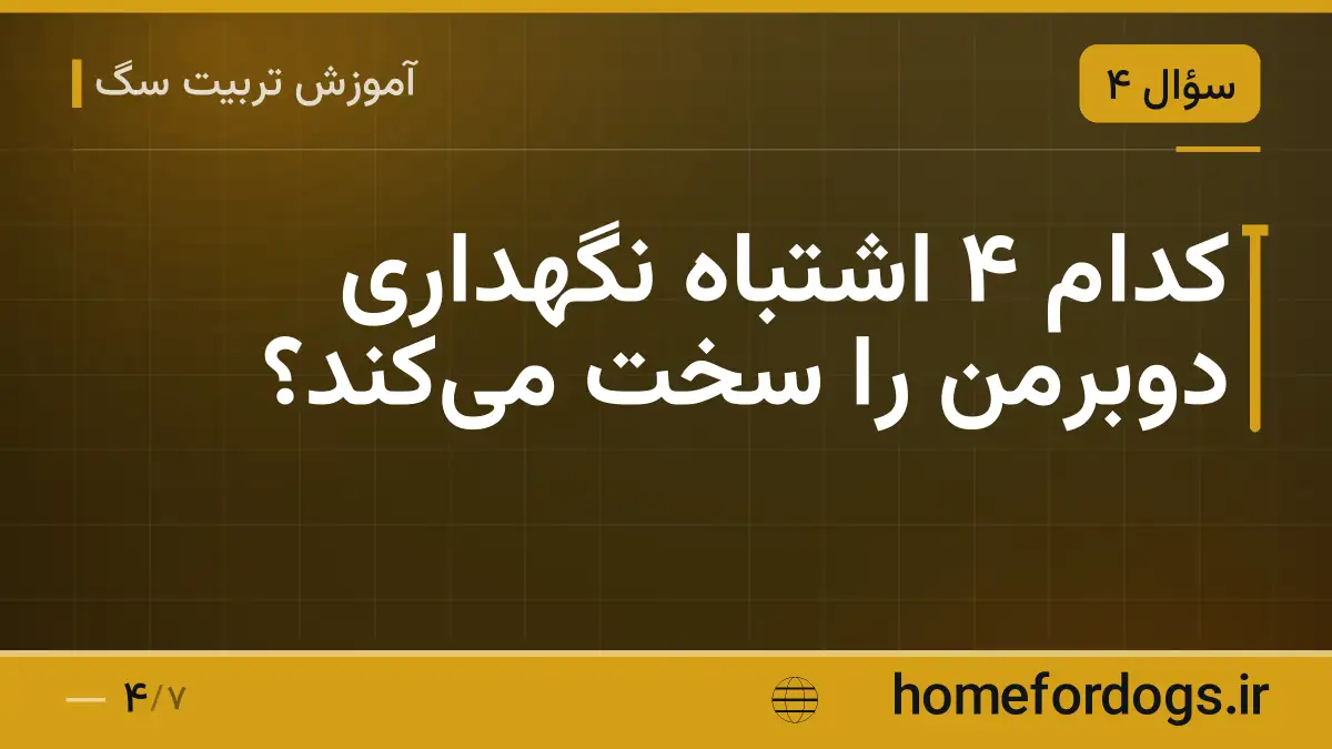 کدام ۴ اشتباه نگهداری دوبرمن را سخت می‌کند؟