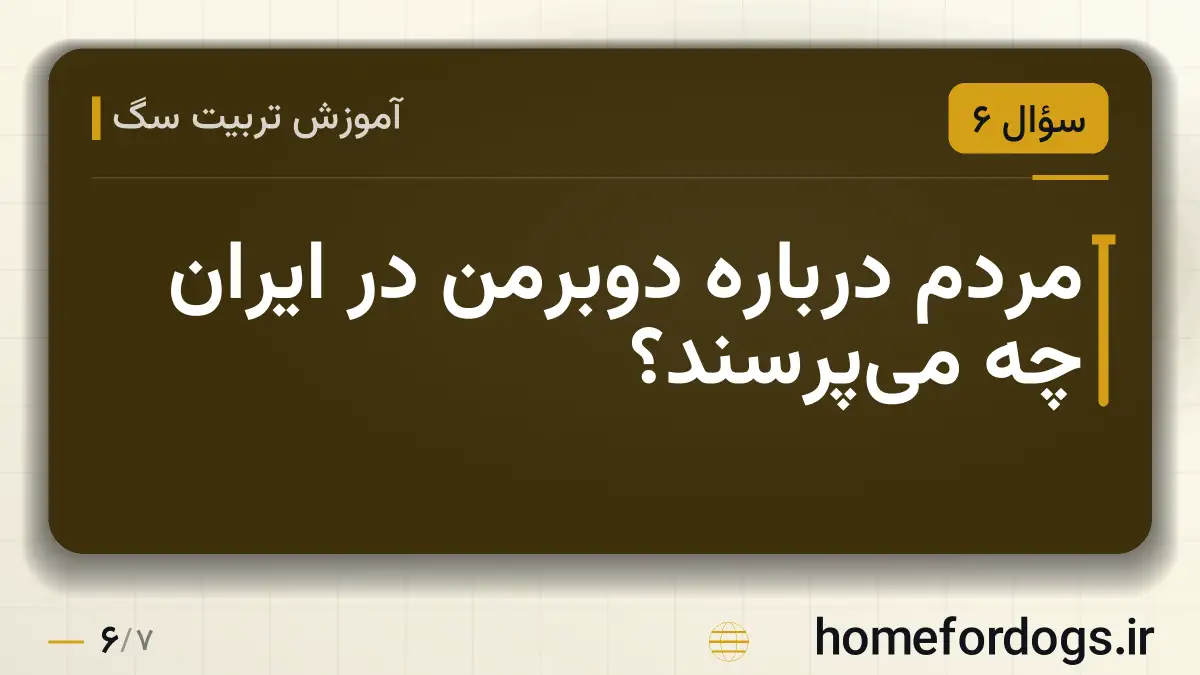 مردم درباره دوبرمن در ایران چه می‌پرسند؟