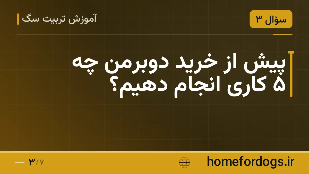 پیش از خرید دوبرمن چه ۵ کاری انجام دهیم؟