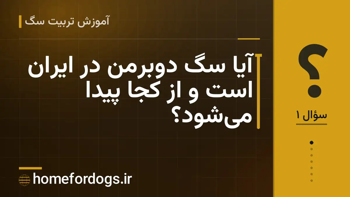 آیا سگ دوبرمن در ایران است و از کجا پیدا می‌شود؟