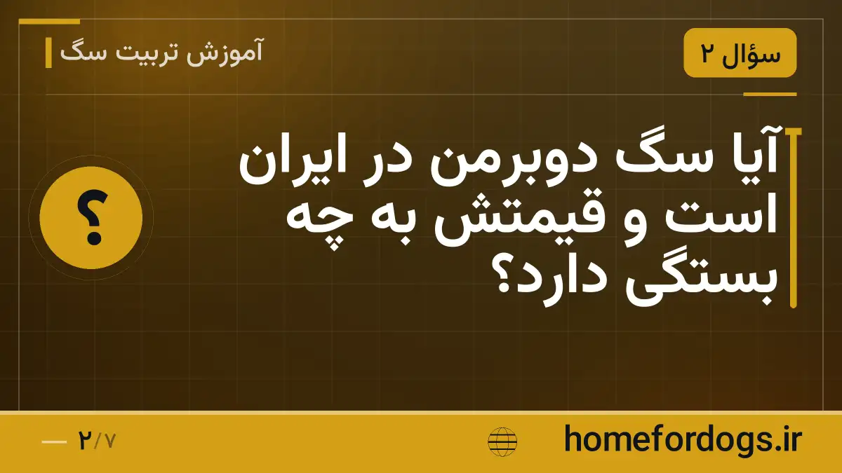 آیا سگ دوبرمن در ایران است و قیمتش به چه بستگی دارد؟