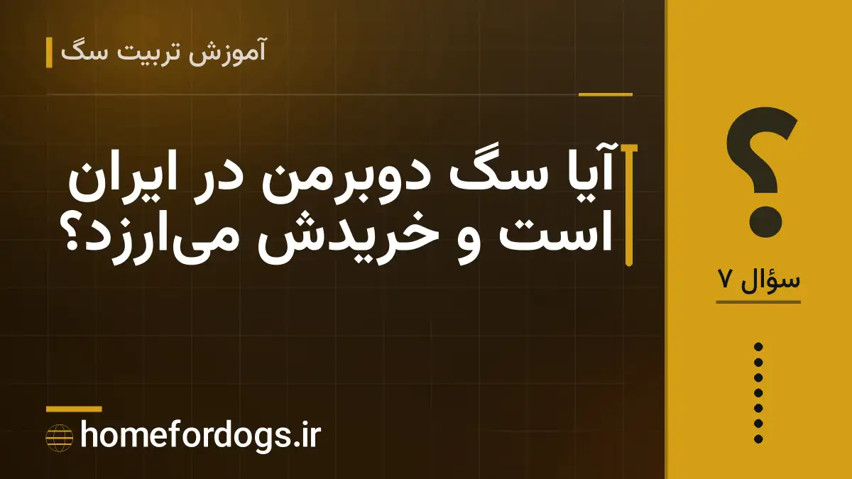 آیا سگ دوبرمن در ایران است و خریدش می‌ارزد؟
