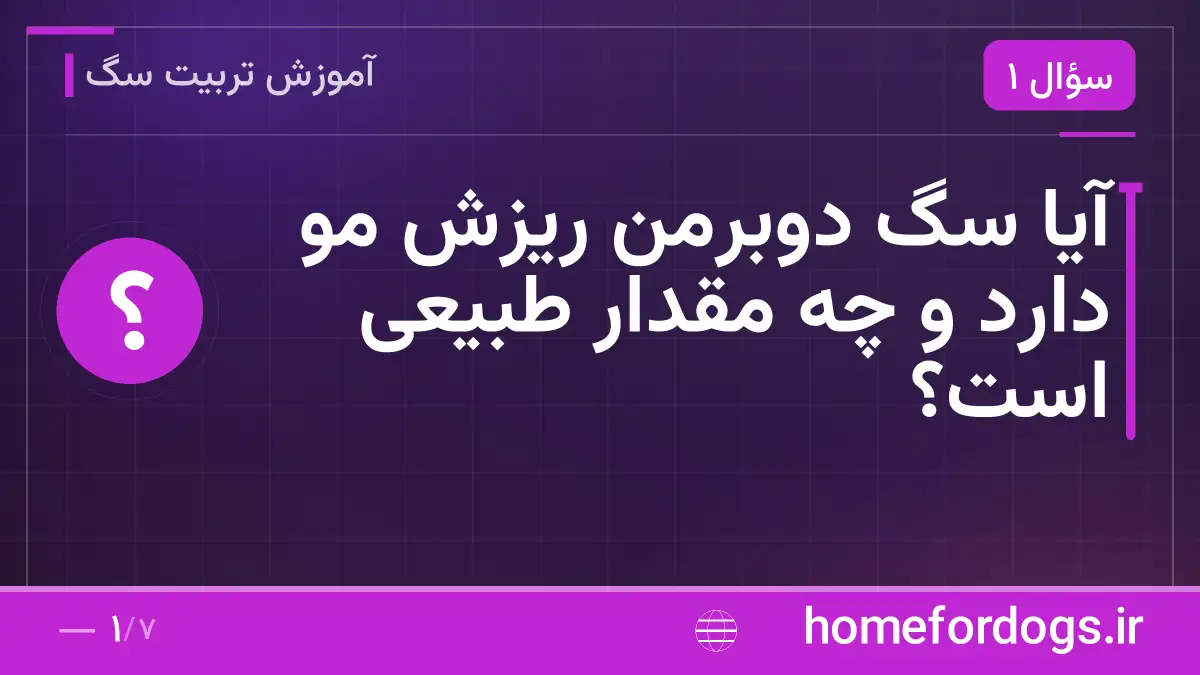 آیا سگ دوبرمن ریزش مو دارد و چه مقدار طبیعی است؟