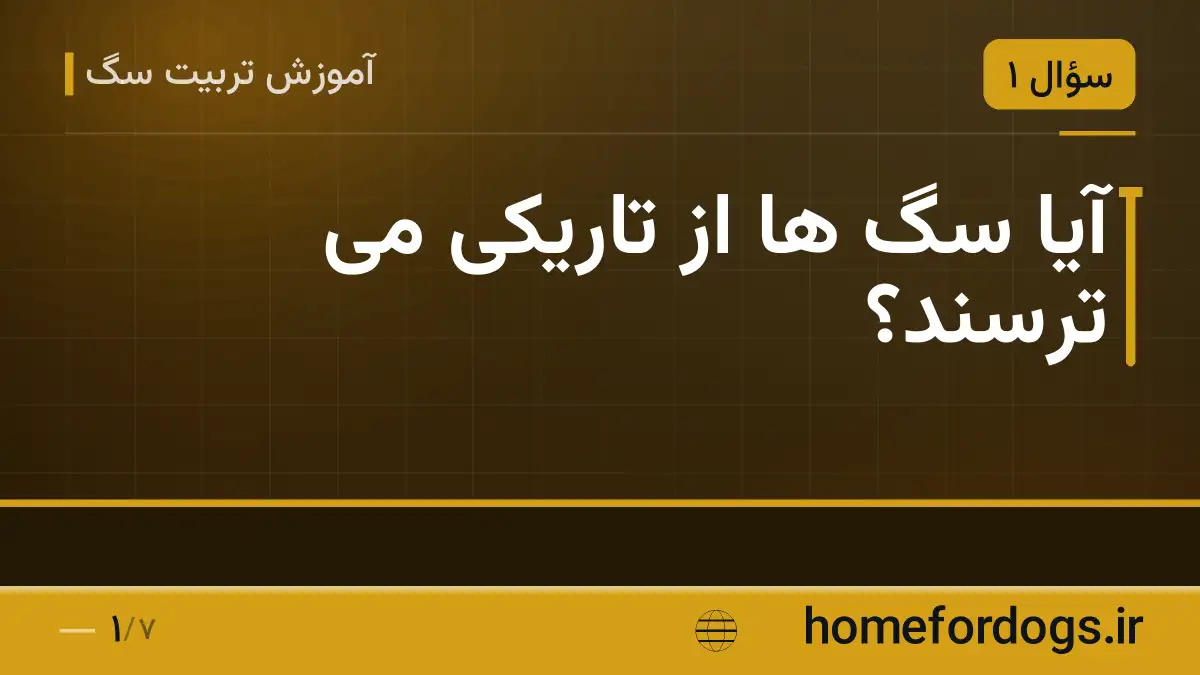 آیا سگ ها از تاریکی می ترسند؟