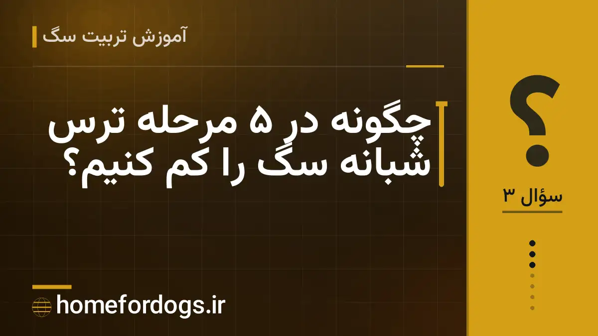چگونه در ۵ مرحله ترس شبانه سگ را کم کنیم؟