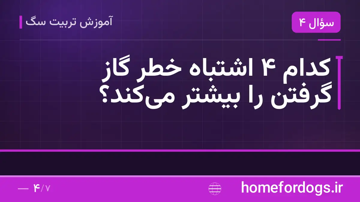 کدام ۴ اشتباه خطر گاز گرفتن را بیشتر می‌کند؟