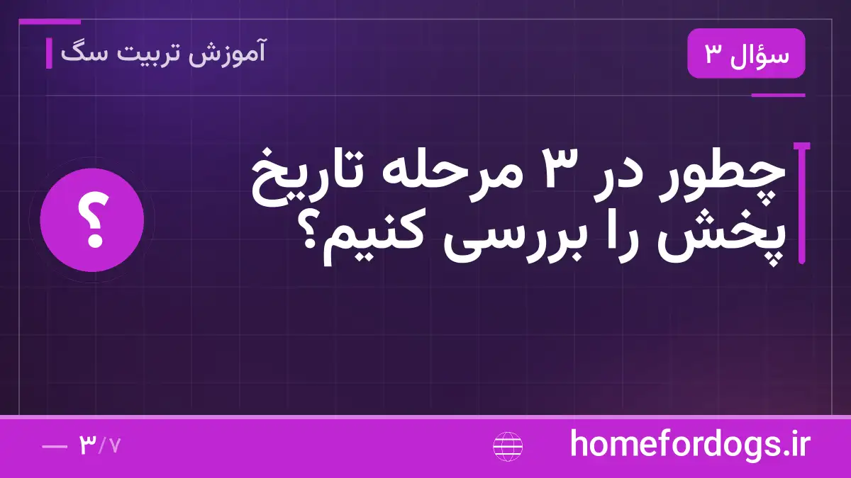 چطور در ۳ مرحله تاریخ پخش را بررسی کنیم؟
