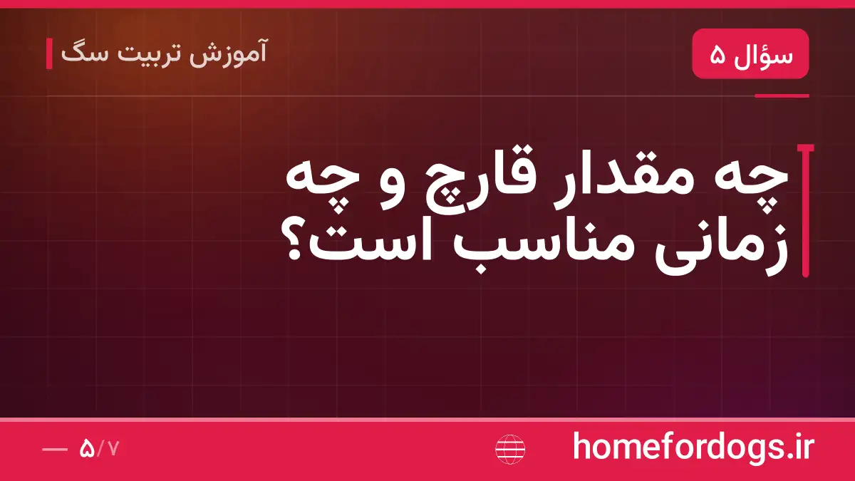 چه مقدار قارچ و چه زمانی مناسب است؟