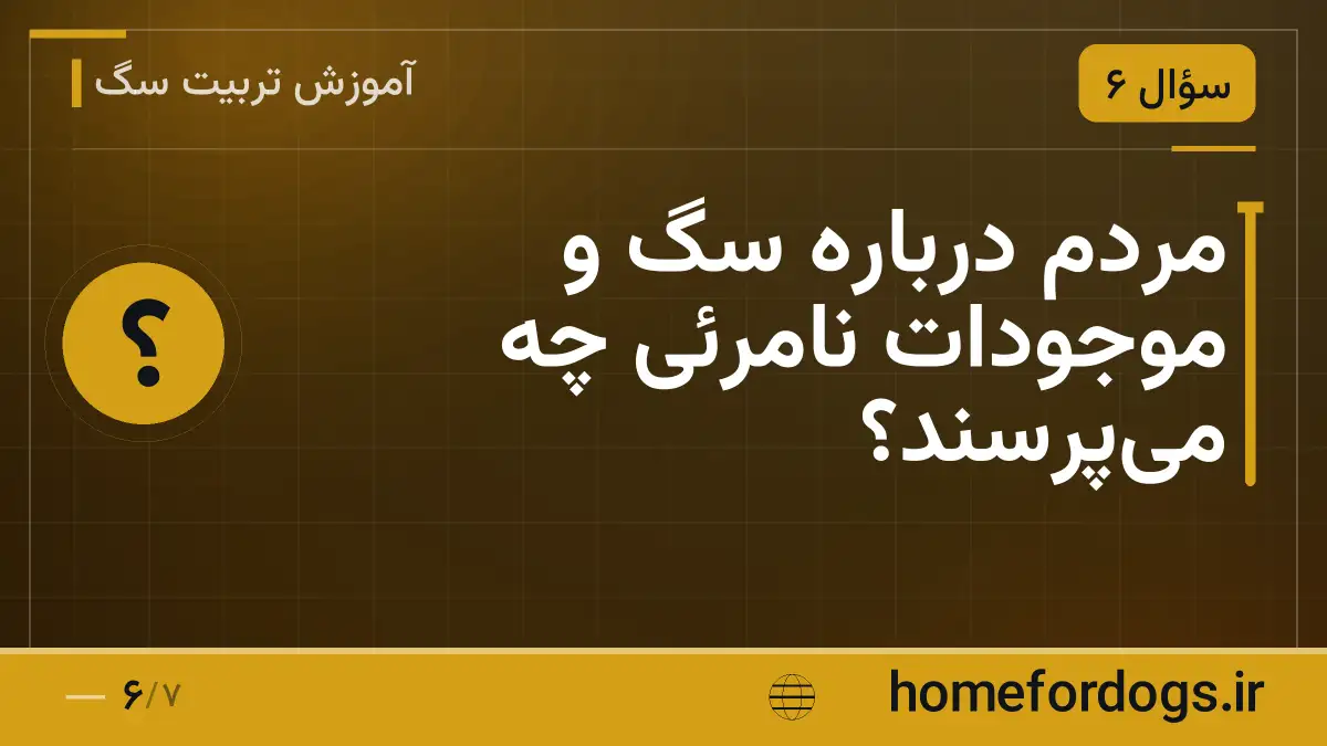 مردم درباره سگ و موجودات نامرئی چه میپرسند؟