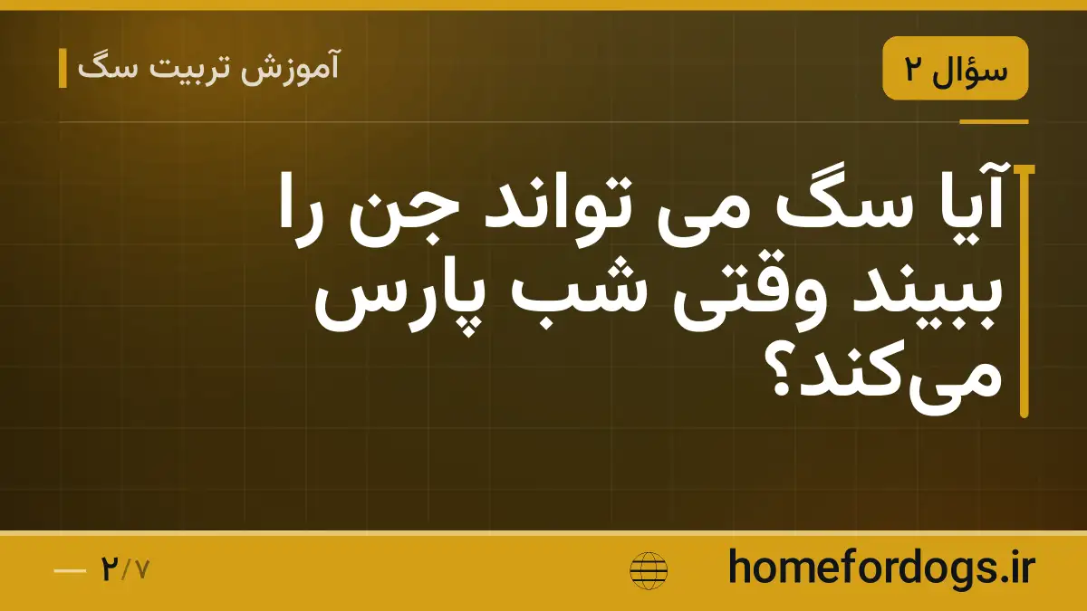 آیا سگ می تواند جن را ببیند وقتی شب پارس میکند؟