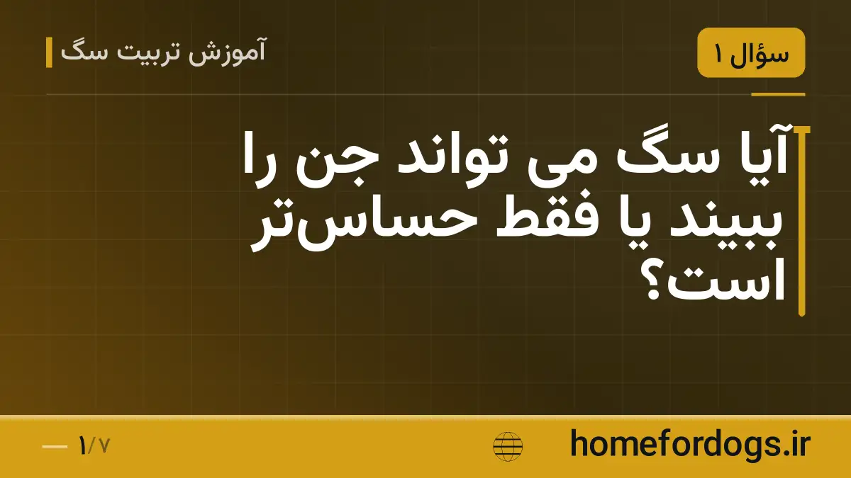 آیا سگ می تواند جن را ببیند یا فقط حساستر است؟