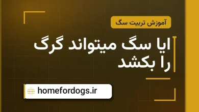 ایا سگ میتواند گرگ را بکشد